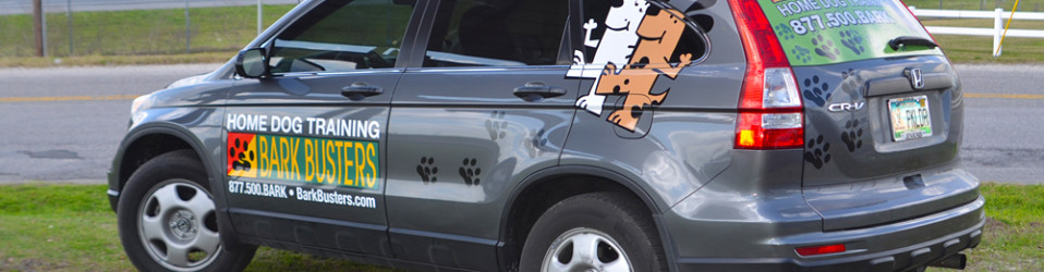 3M Certified Vehicle Wraps | Ocala Florida