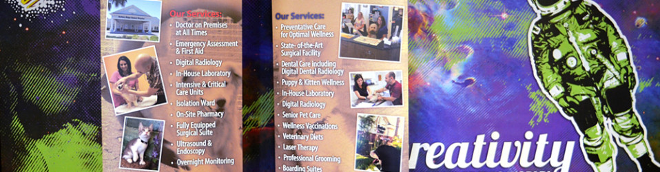 Buffalo Ridge Animal Hospital Trade Show Displays