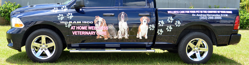 3M Certified Vehicle Wraps | Ocala Florida