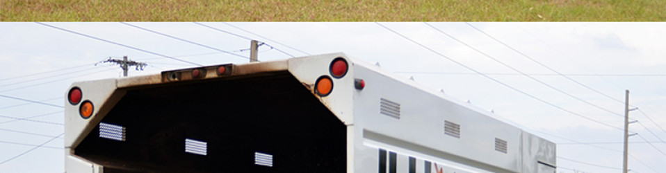 3M Certified Vehicle Wraps | Ocala Florida