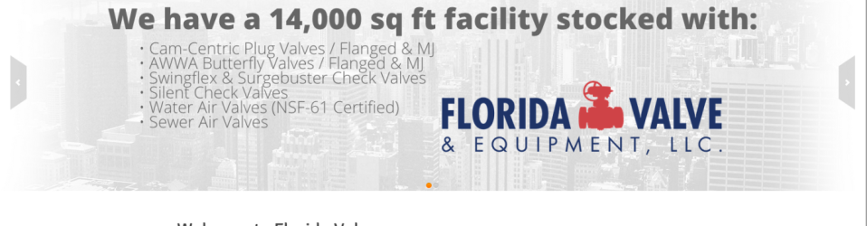 Florida Valve Website
