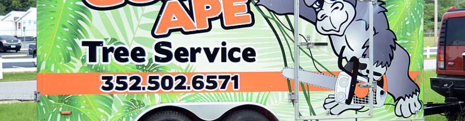 |3M Certified Vehicle Wraps | Ocala Florida