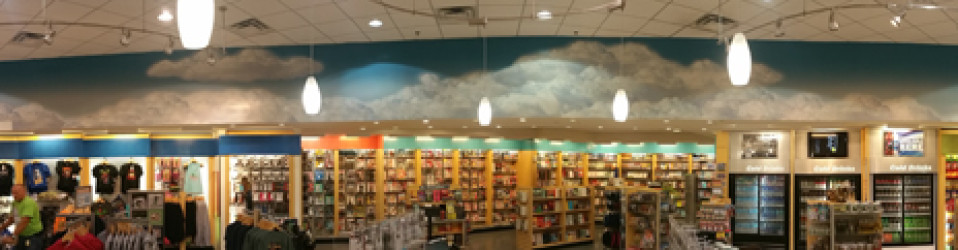 Orlando International Airport Install