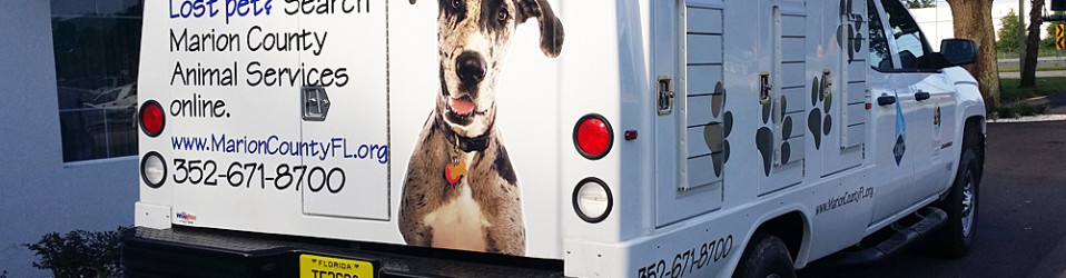 3M Certified Vehicle Wraps | Ocala Florida