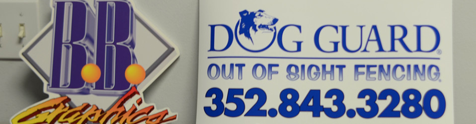 3M Certified Vehicle Wraps | Ocala Florida