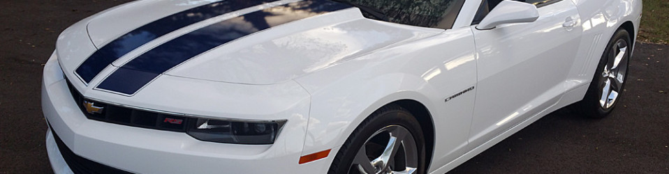 3M Certified Vehicle Wraps | Ocala Florida