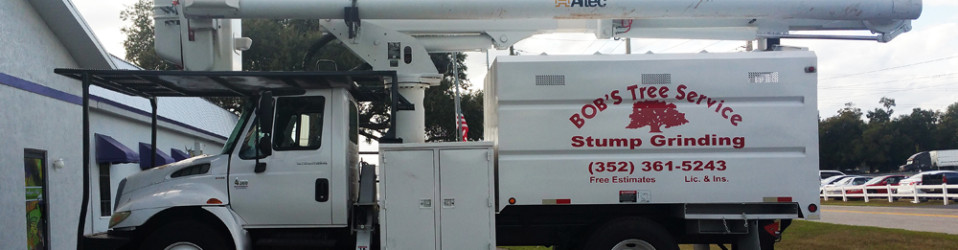 3M Certified Vehicle Wraps | Ocala Florida