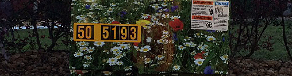 3M Certified Vehicle Wraps | Ocala Florida