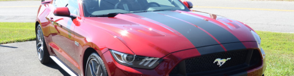3M Certified Vehicle Wraps | Ocala Florida