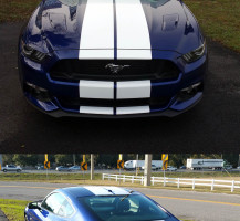 Mustang stripes