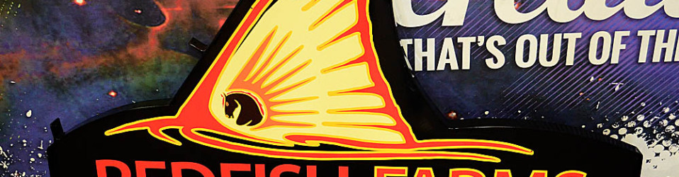 3M Certified Vehicle Wraps | Ocala Florida